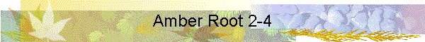 Amber Root 2-4