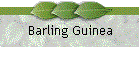 Barling Guinea