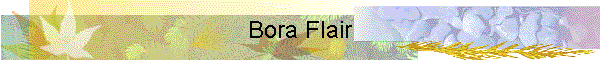 Bora Flair
