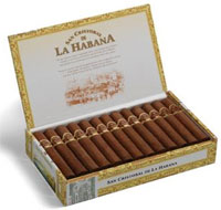 San Cristobal El Principe 25's