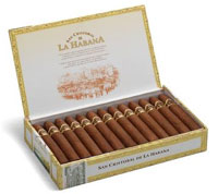 San Cristobal La Punta 25's